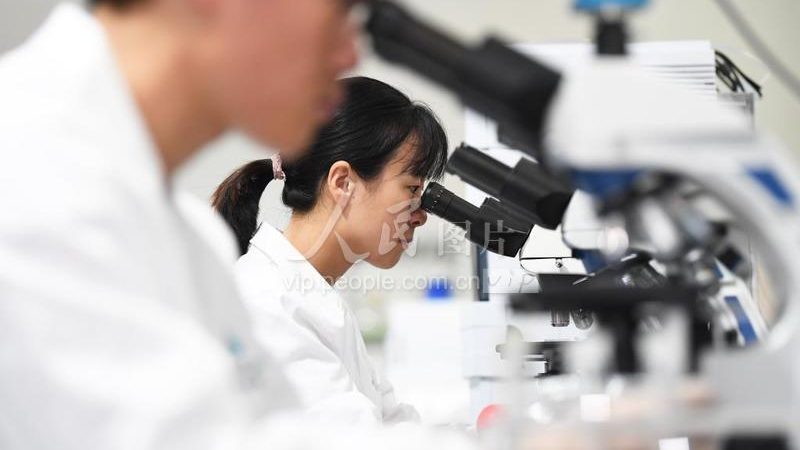 揭秘上海细胞工厂：品牌排名背后的科技力量