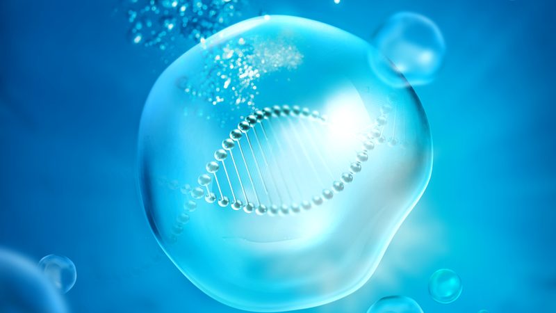 生物制品储存：关键步骤与常见误区**