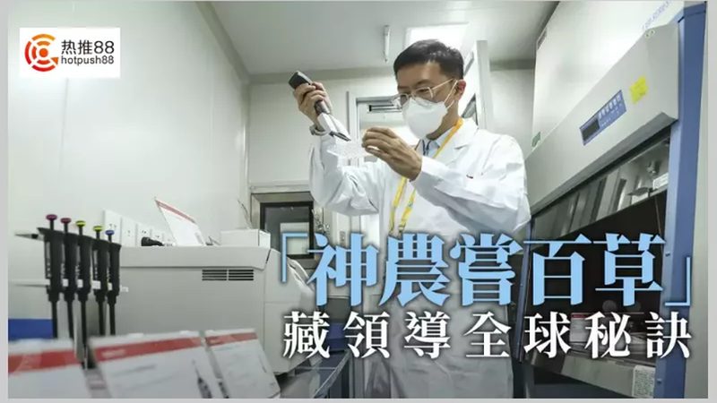 蛋白酶价格：如何选择合适的厂家与产品**