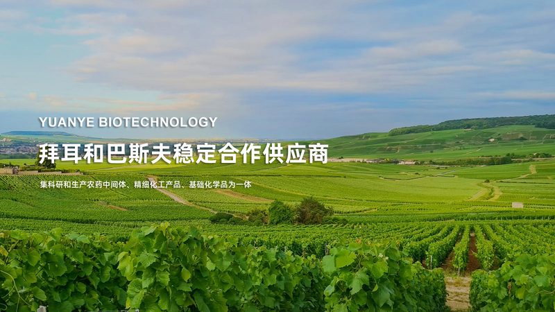 CDMO客户群分类：揭秘医药研发背后的合作伙伴