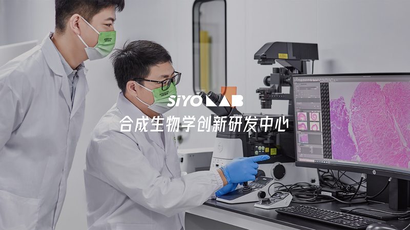 宠物PCR检测：揭秘结果出炉的秘密