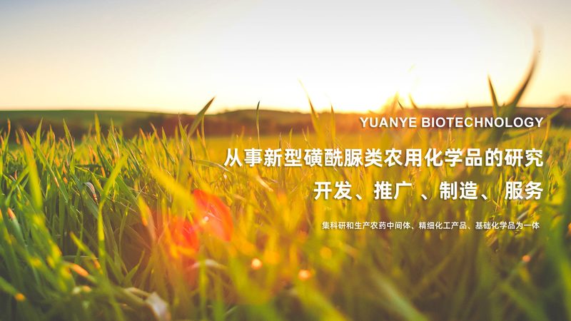 全基因组检测前先看这三件事
