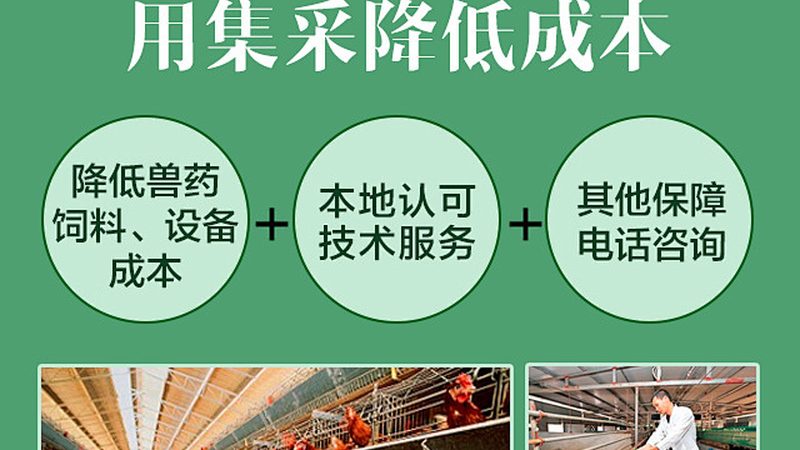 生物制品冷链运输：如何确保品质与合规性**