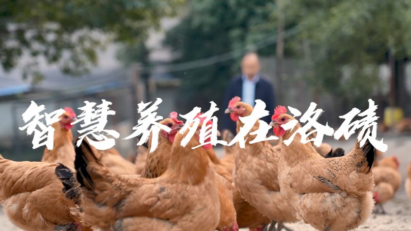 转化医学：上海生物科技公司如何布局？**