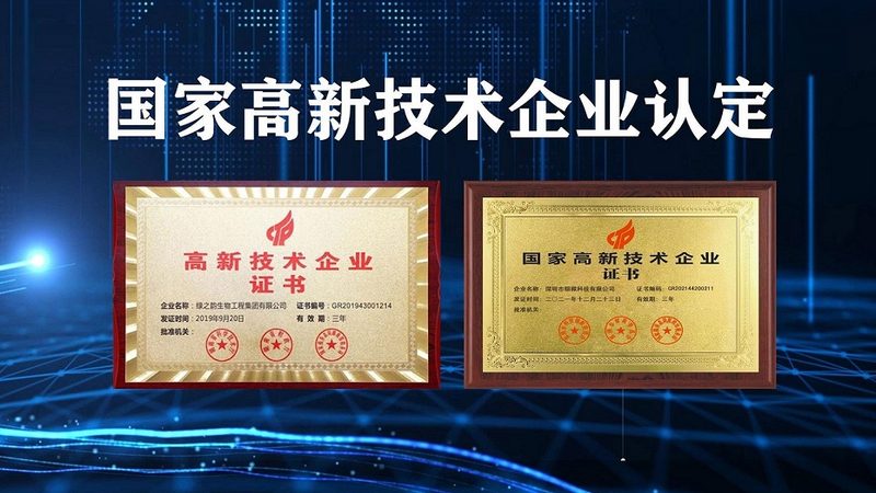 引物合成修饰：如何精准选择，助力科研高效