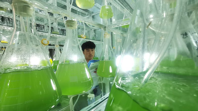 医用PCR检测仪器：揭秘十大品牌背后的技术奥秘